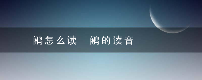 鹇怎么读 鹇的读音
